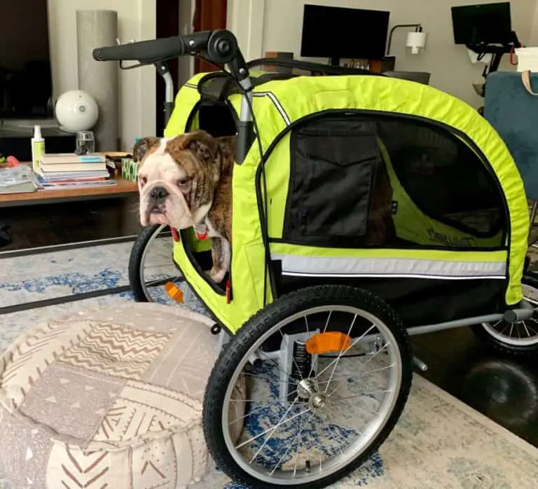 Best Strollers For English Bulldogs The Bulldog Blog