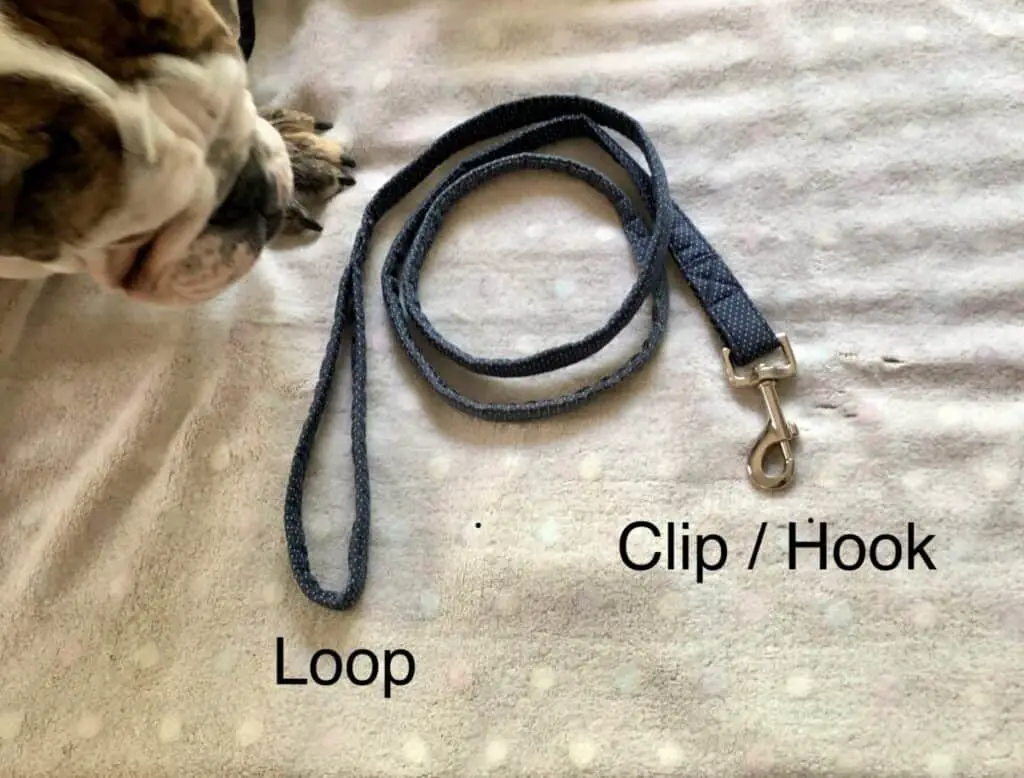 Dog Leash House Line at Ann Orner blog