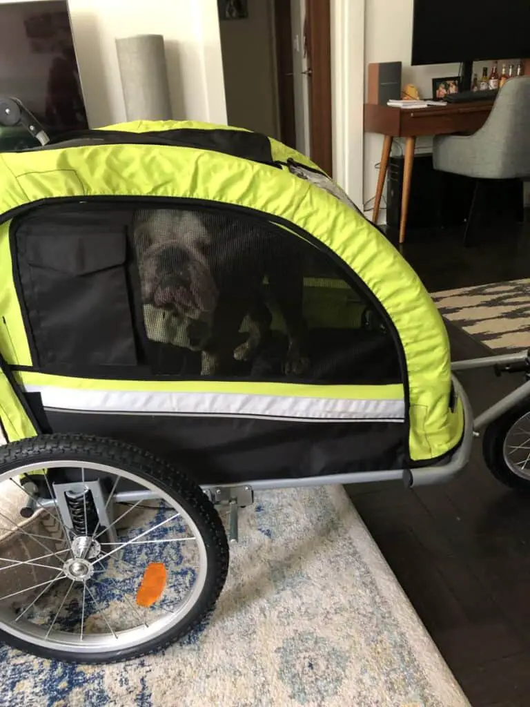 Best Strollers For English Bulldogs The Bulldog Blog